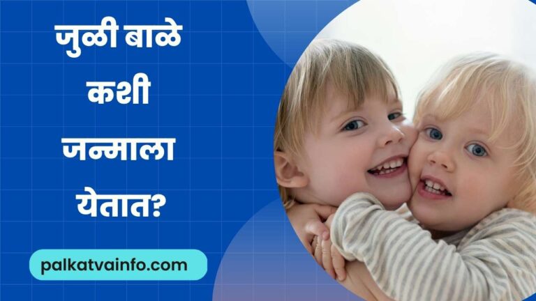 How are twins born in Marathi
