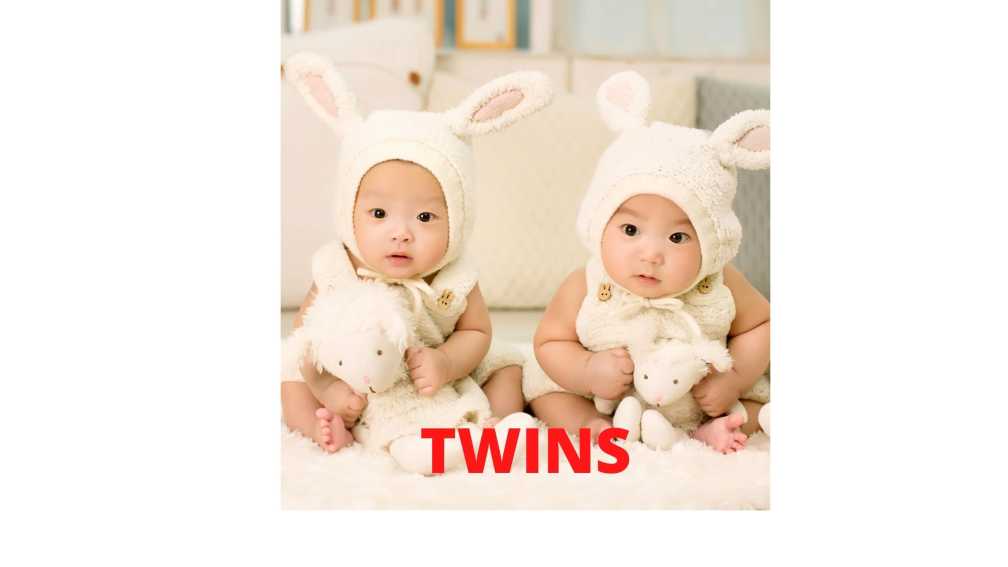 How are twins born
