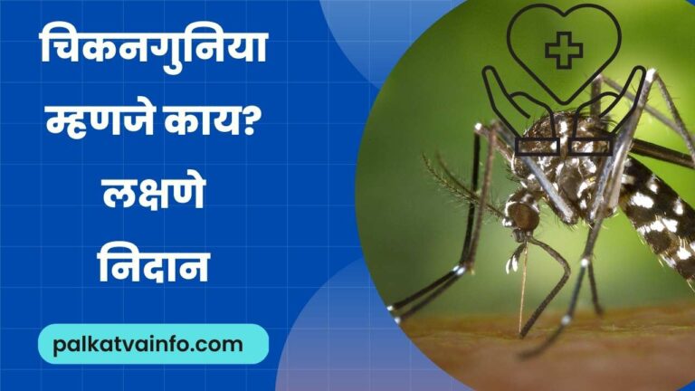 Chikungunya symptoms in Marathi