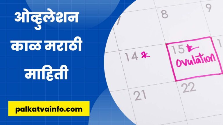 What is Ovulation Period in Marathi