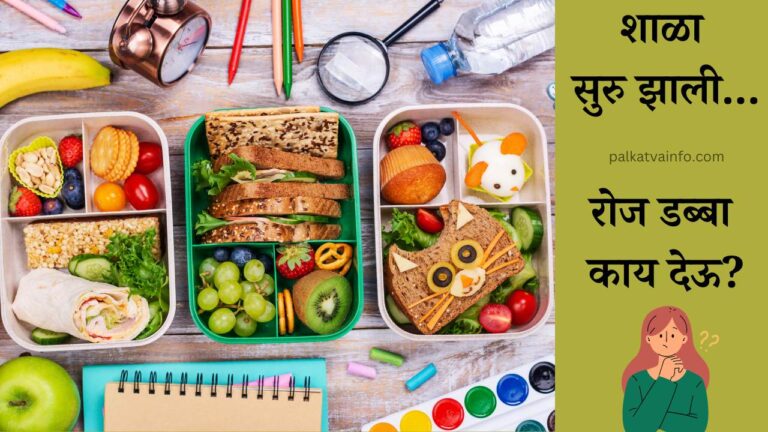 Healthy Lunch Box Ideas In Marathi